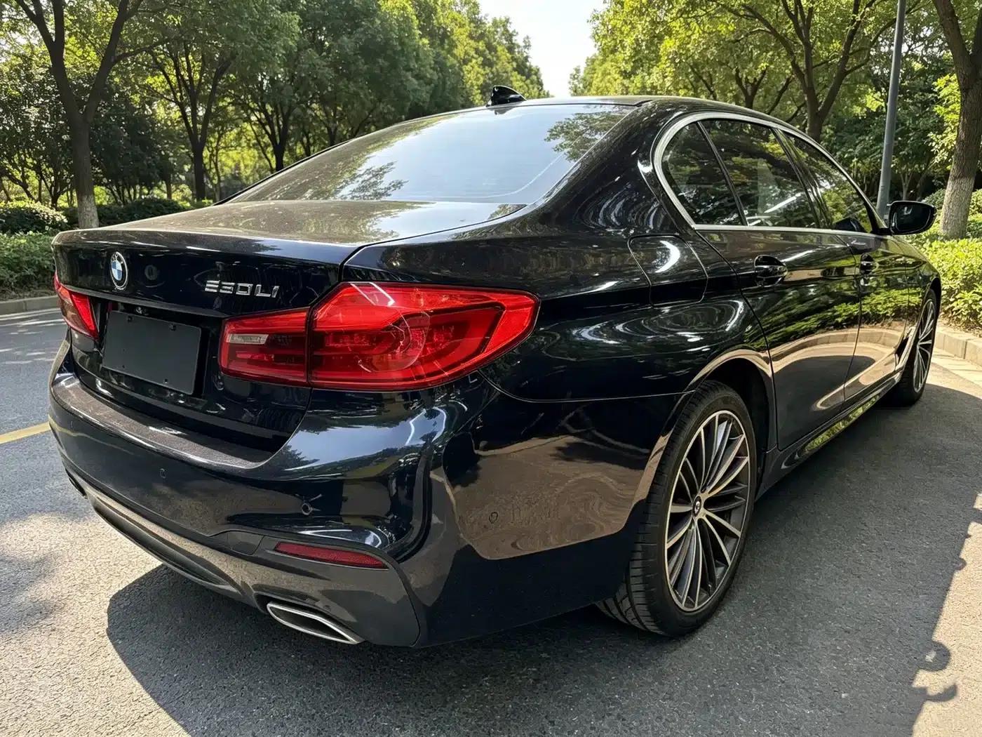 2020 BMW 5 Series 530Li Leading Edition M Sport Package — миниатюра 10