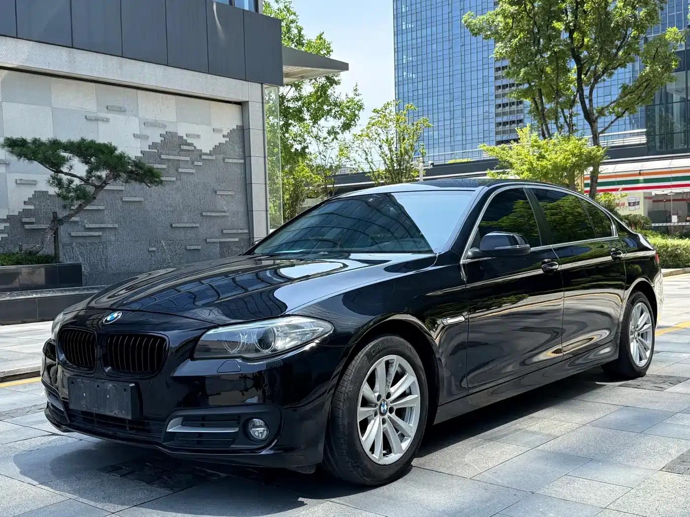 2014 BMW 5 Series 520Li Elegant Edition — миниатюра 1