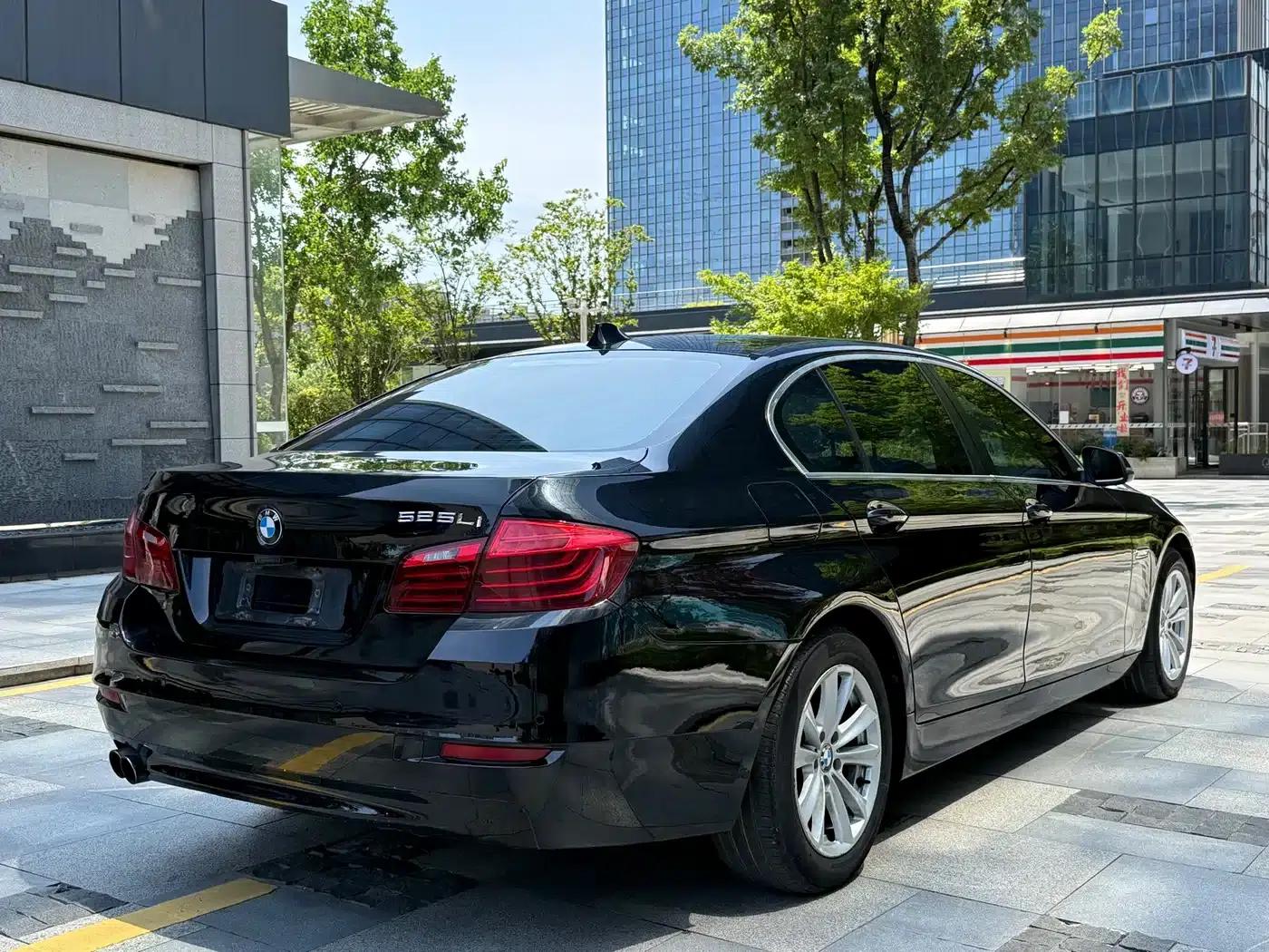 2014 BMW 5 Series 520Li Elegant Edition — миниатюра 4