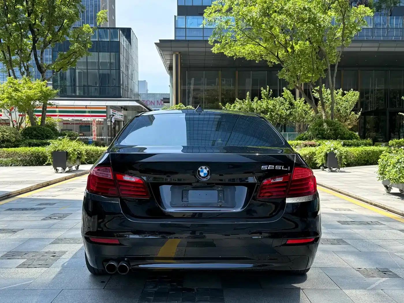2014 BMW 5 Series 520Li Elegant Edition — миниатюра 5