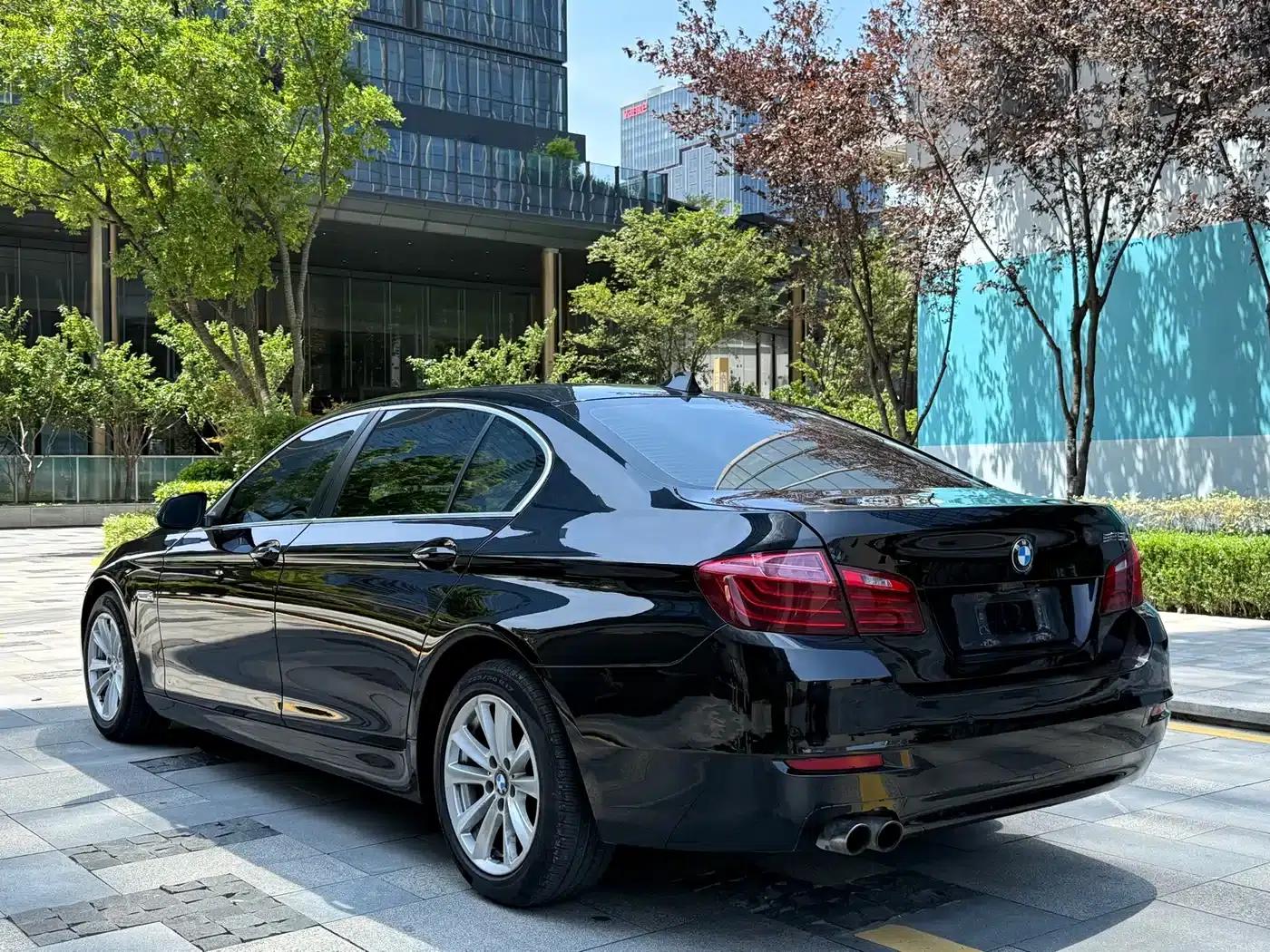 2014 BMW 5 Series 520Li Elegant Edition — миниатюра 6