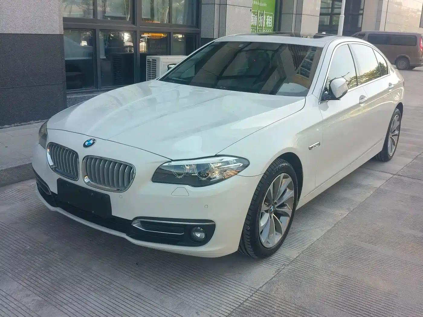 2013 BMW 5 Series 525Li Excellence Edition — миниатюра 1