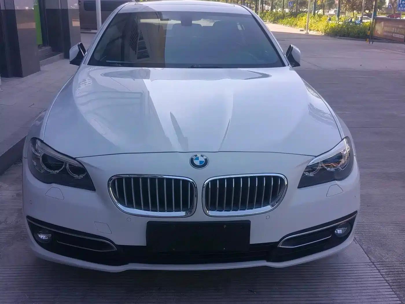 2013 BMW 5 Series 525Li Excellence Edition — миниатюра 2
