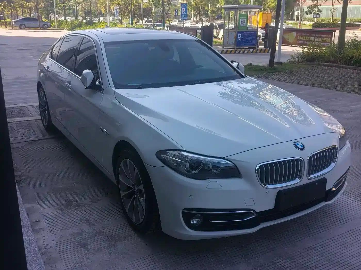 2013 BMW 5 Series 525Li Excellence Edition — миниатюра 3