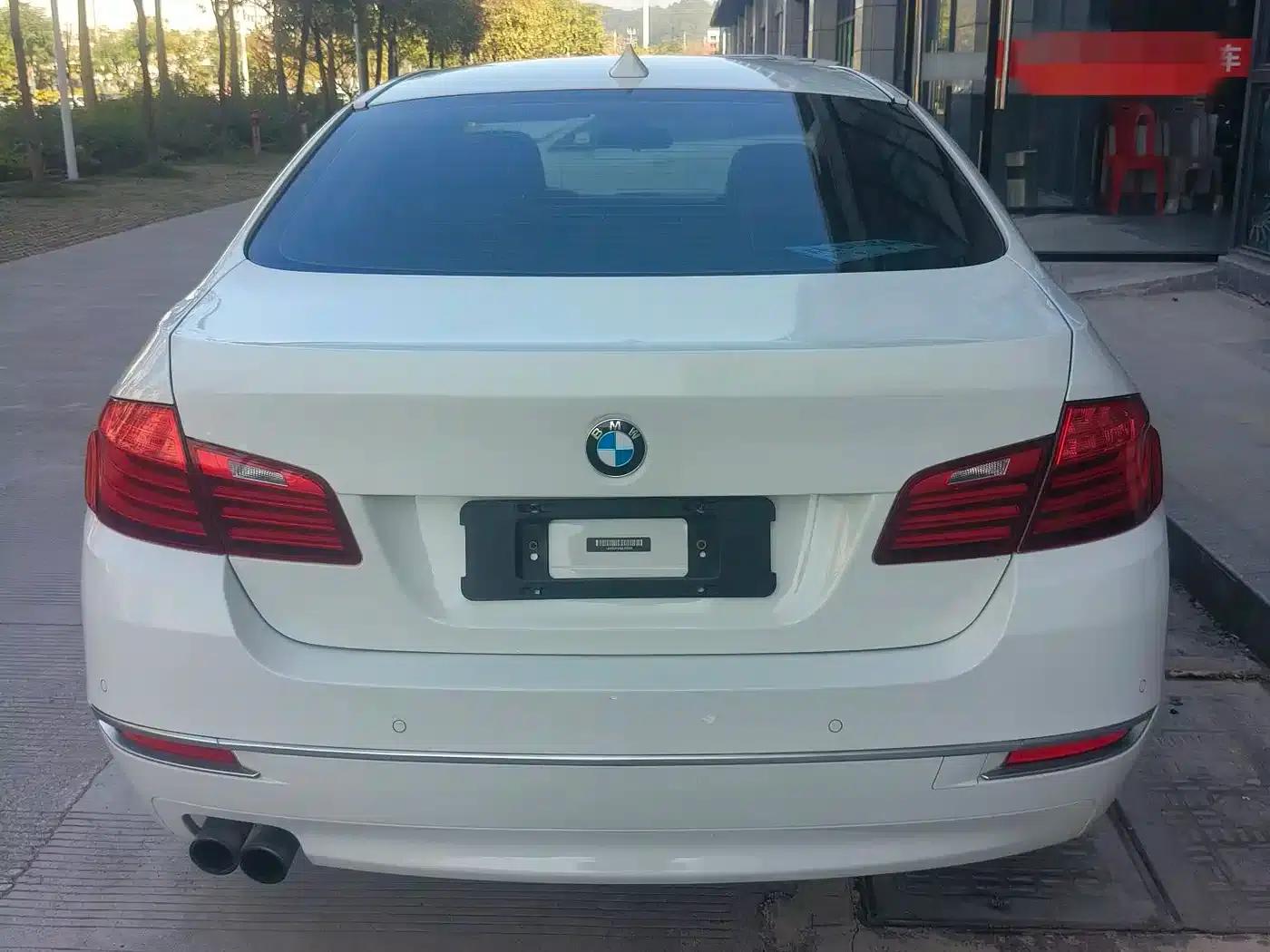 2013 BMW 5 Series 525Li Excellence Edition — миниатюра 5