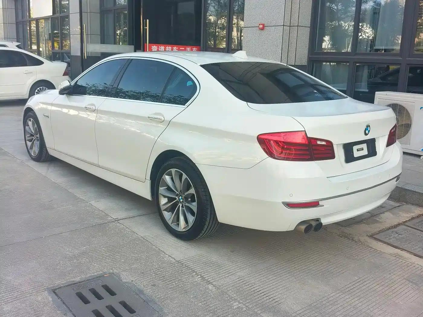 2013 BMW 5 Series 525Li Excellence Edition — миниатюра 6
