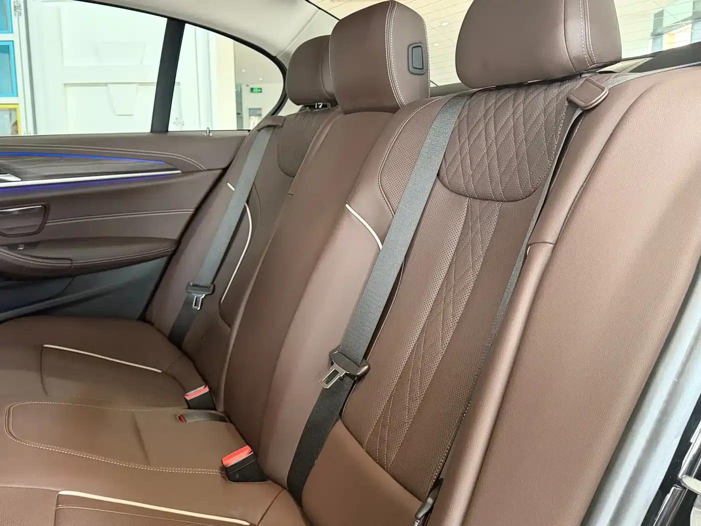 BMW 5 Series 2021 Facelift 530Li Leading Luxury Package — миниатюра 13