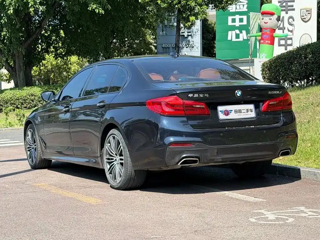 2018 BMW 5 Series 530Li Leading Luxury Package — миниатюра 4