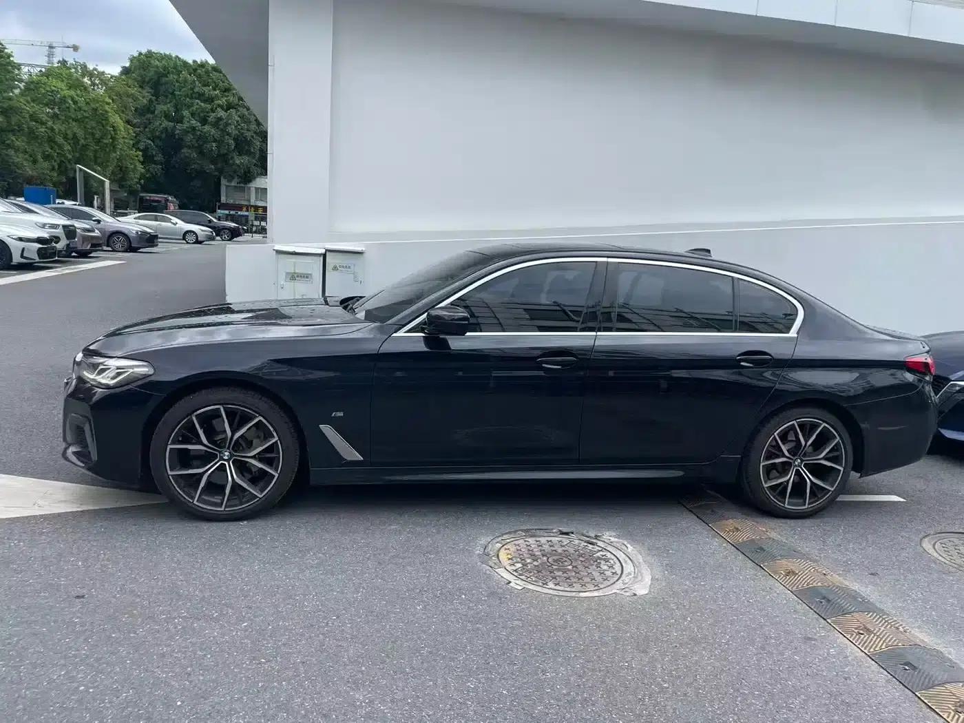 2021 BMW 5 Series 530Li Luxury M Sport Package — миниатюра 2