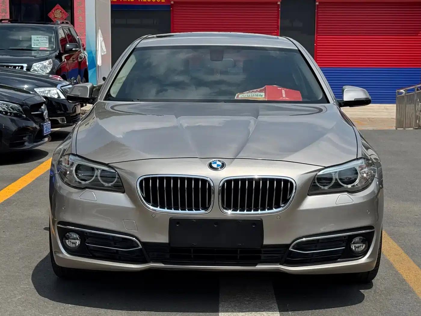 2017 BMW 5 Series 525Li Luxury Design Package — миниатюра 2