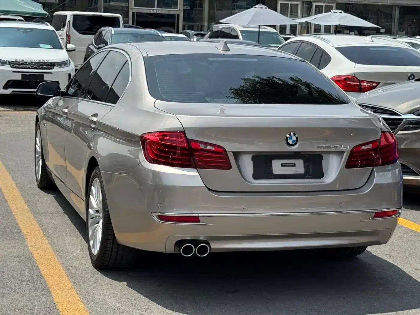 2017 BMW 5 Series 525Li Luxury Design Package — миниатюра 6