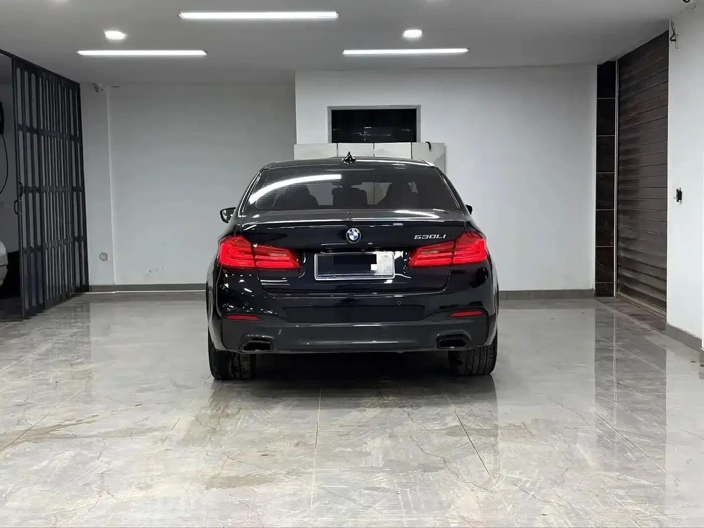 2020 BMW 5 Series 530Li Leading Edition M Sport Package — миниатюра 9
