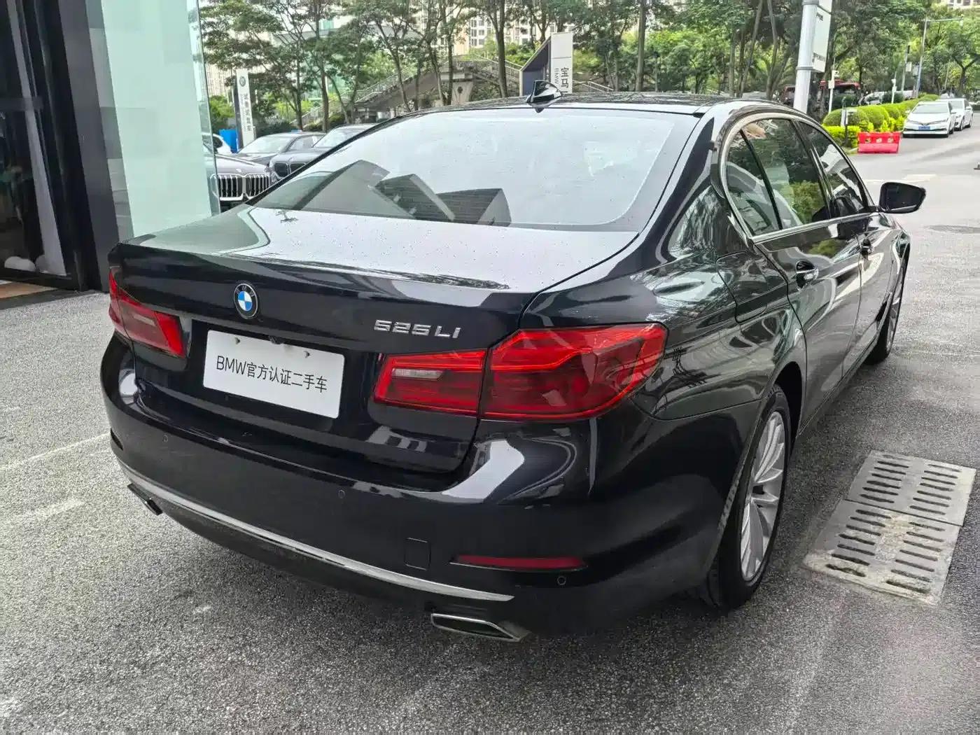 2018 BMW 5 Series 525Li Luxury Package — миниатюра 9