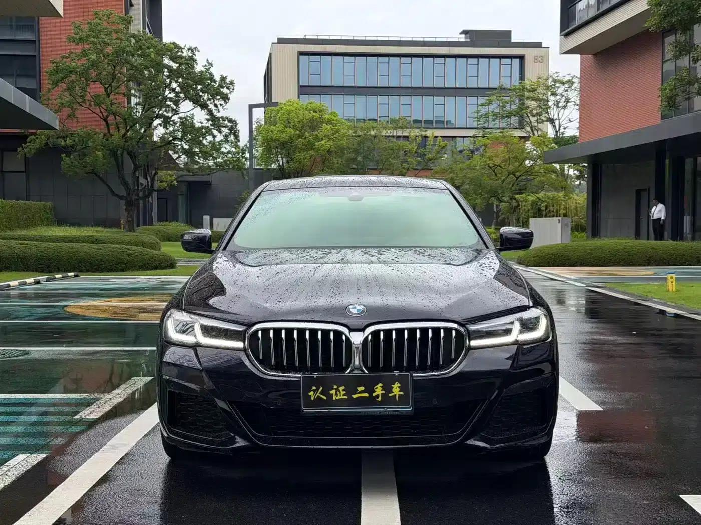2022 BMW 5 Series Facelift 530Li Leading Edition M Sport Package — миниатюра 2