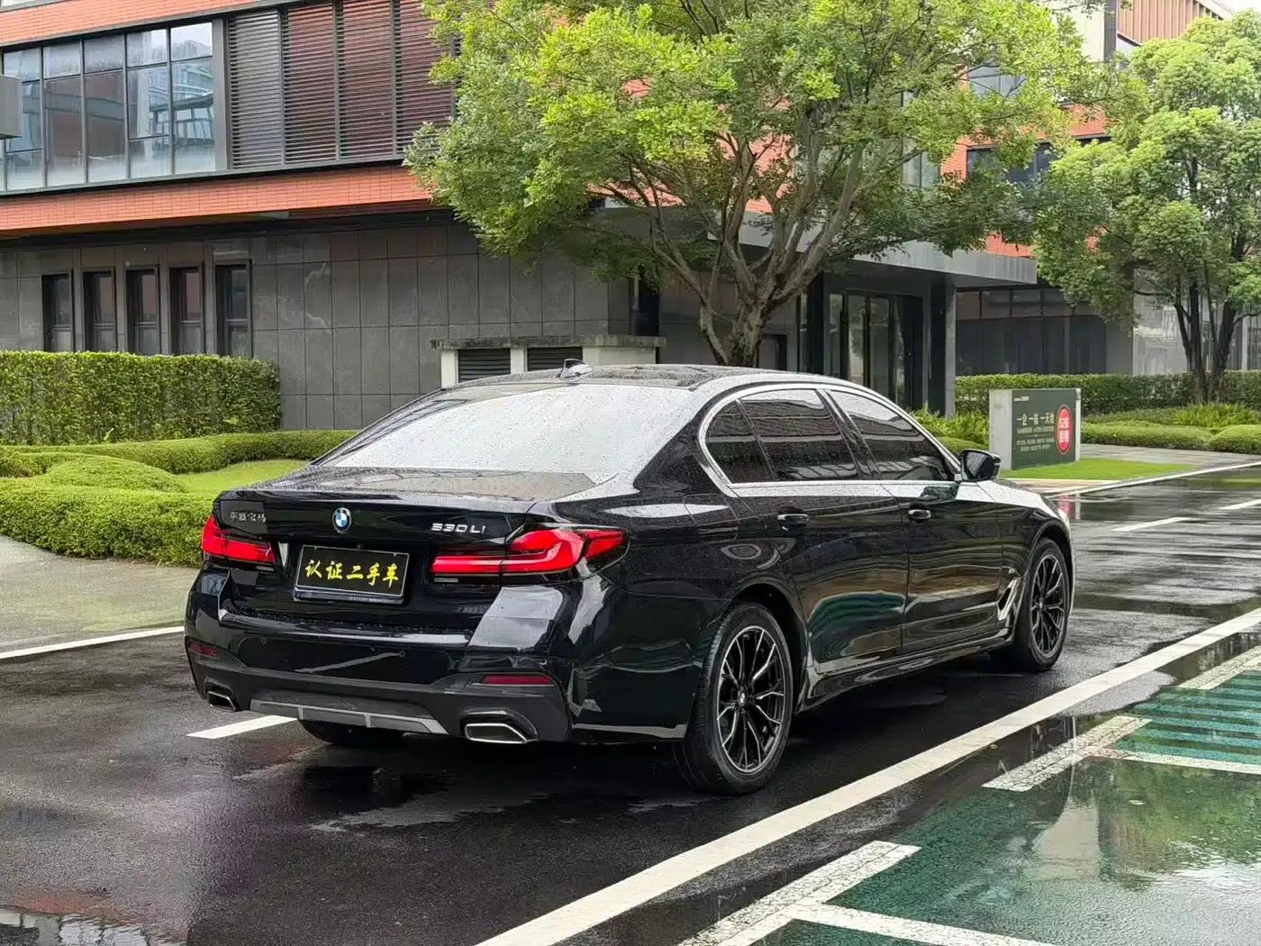 2022 BMW 5 Series Facelift 530Li Leading Edition M Sport Package — миниатюра 7