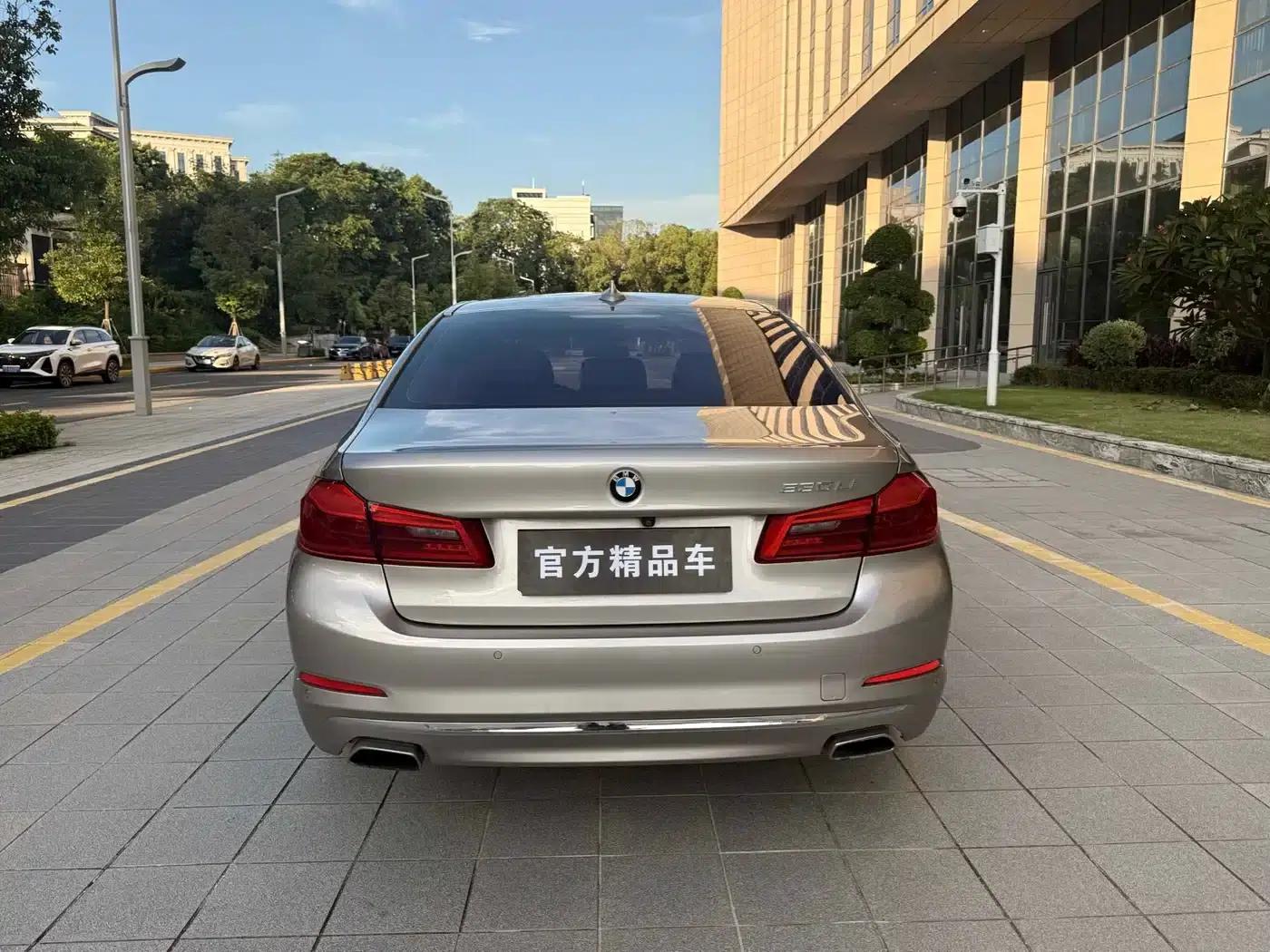 2018 BMW 5 Series 530Li Leading Luxury Package — миниатюра 8