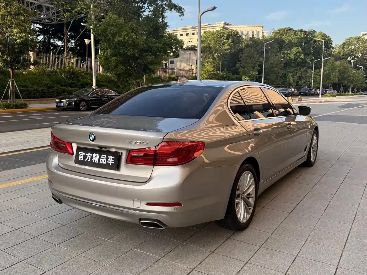 2018 BMW 5 Series 530Li Leading Luxury Package — миниатюра 9