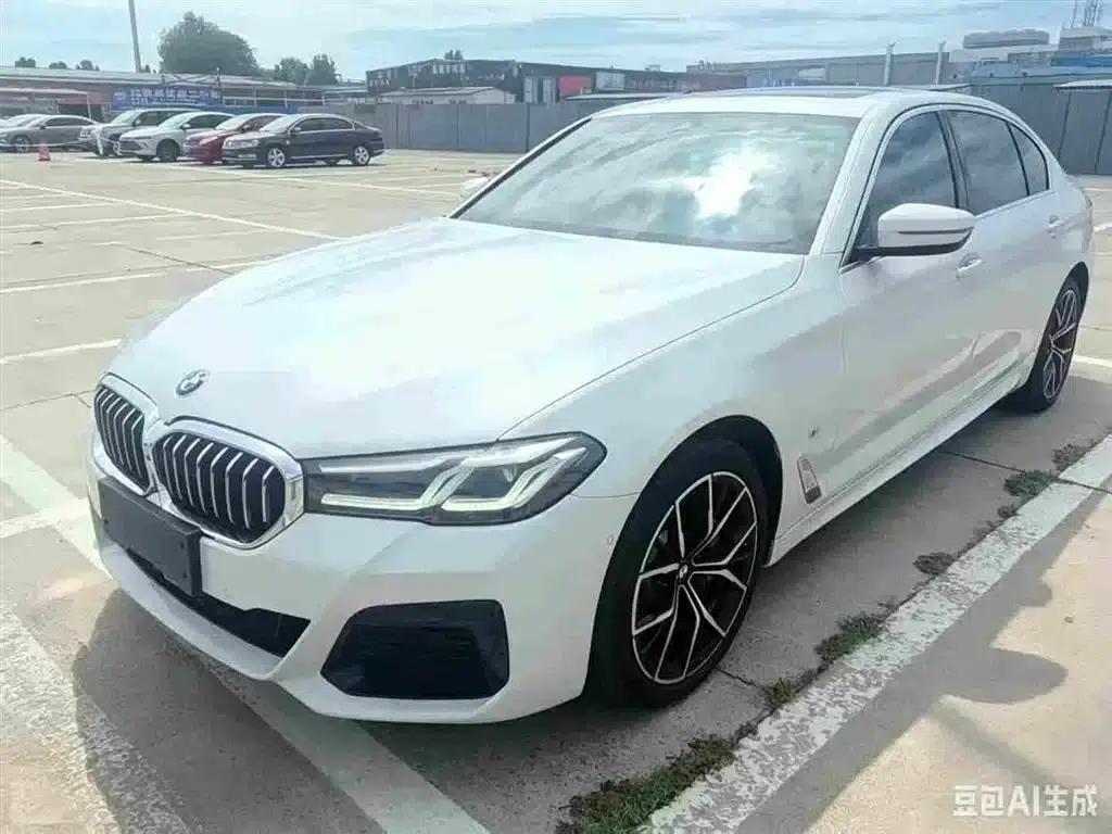 2021 BMW 5 Series 530Li Luxury M Sport Package — миниатюра 1