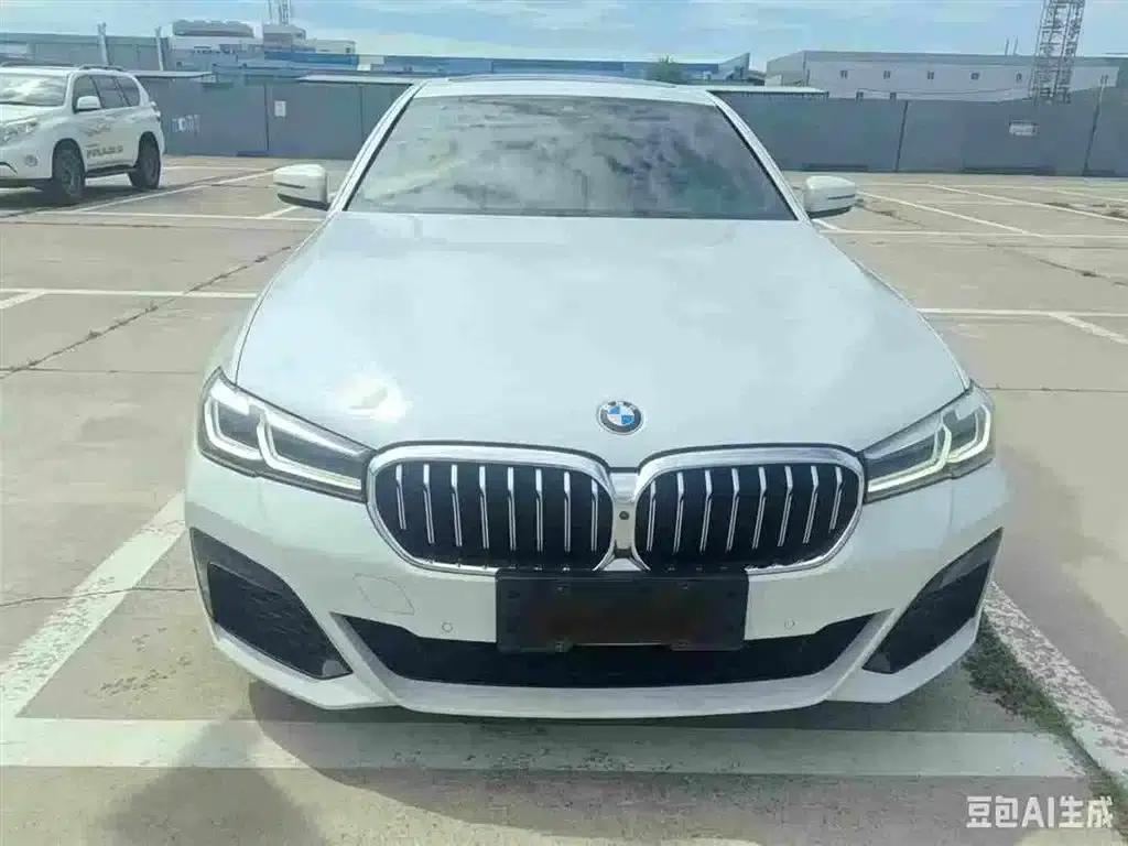 2021 BMW 5 Series 530Li Luxury M Sport Package — миниатюра 2