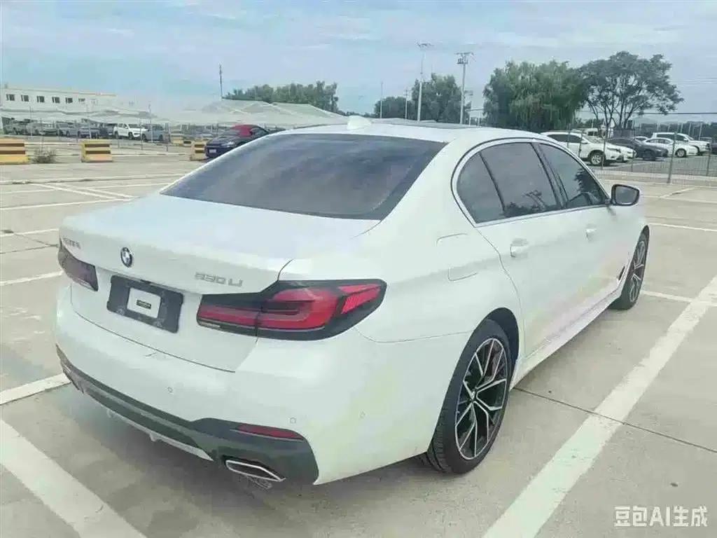 2021 BMW 5 Series 530Li Luxury M Sport Package — миниатюра 3