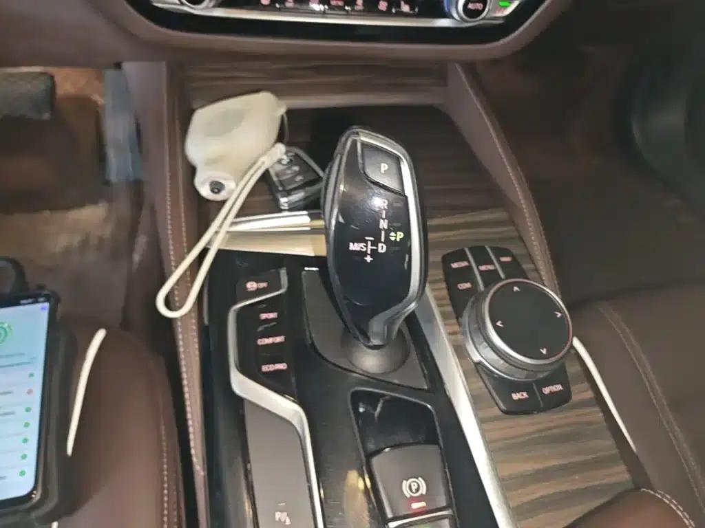BMW 5 Series 2020 530Li Leading Luxury Package — миниатюра 14