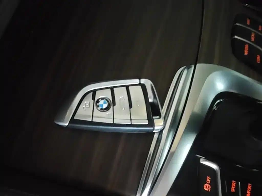 BMW 5 Series 2020 530Li Leading Luxury Package — миниатюра 9
