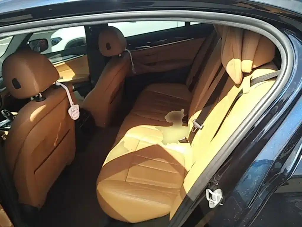 2018 BMW 5 Series Facelift 530Li Leading Edition M Sport Package — миниатюра 17