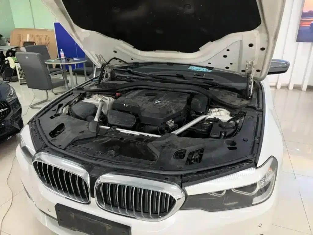 2018 BMW 5 Series 525Li Luxury Package — миниатюра 20