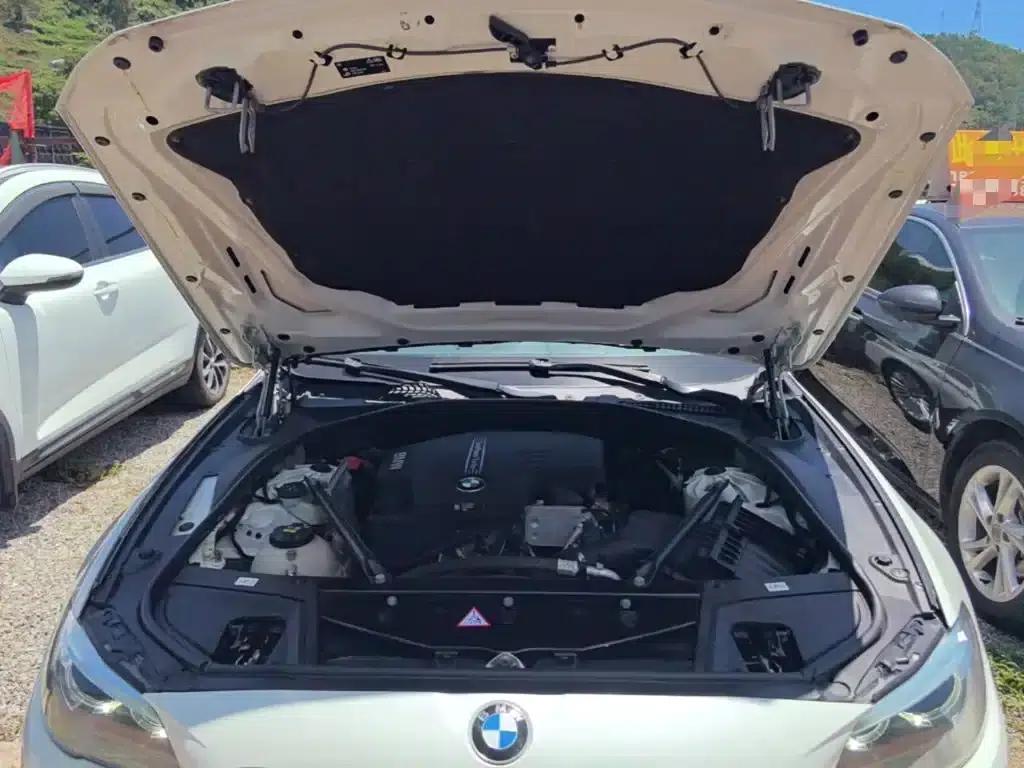 2014 BMW 5 Series 525Li Leading Edition — миниатюра 20