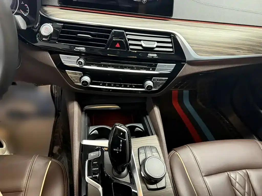BMW 5 Series 2019 530Li Leading Luxury Package — миниатюра 9