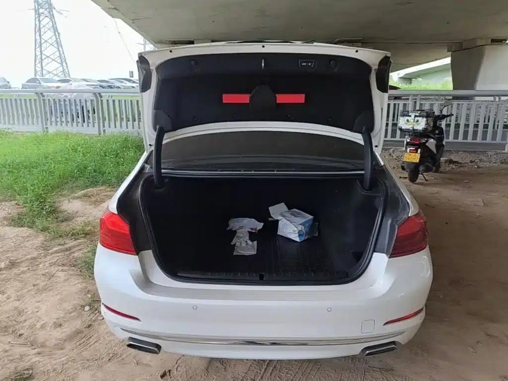 BMW 5 Series 2019 Facelift 530Li Luxury Package — миниатюра 19