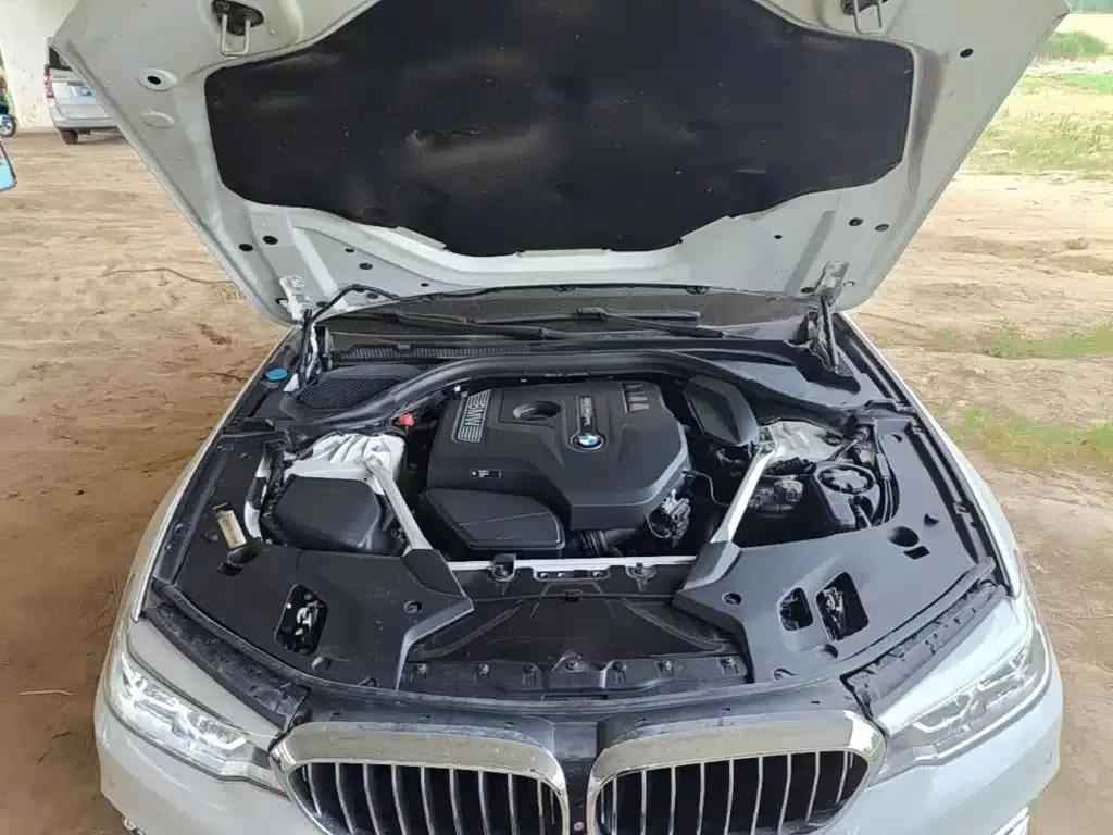 BMW 5 Series 2019 Facelift 530Li Luxury Package — миниатюра 20