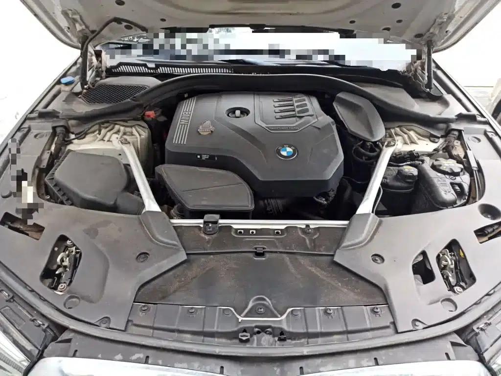 BMW 5 Series 2021 530Li Luxury Package — миниатюра 11