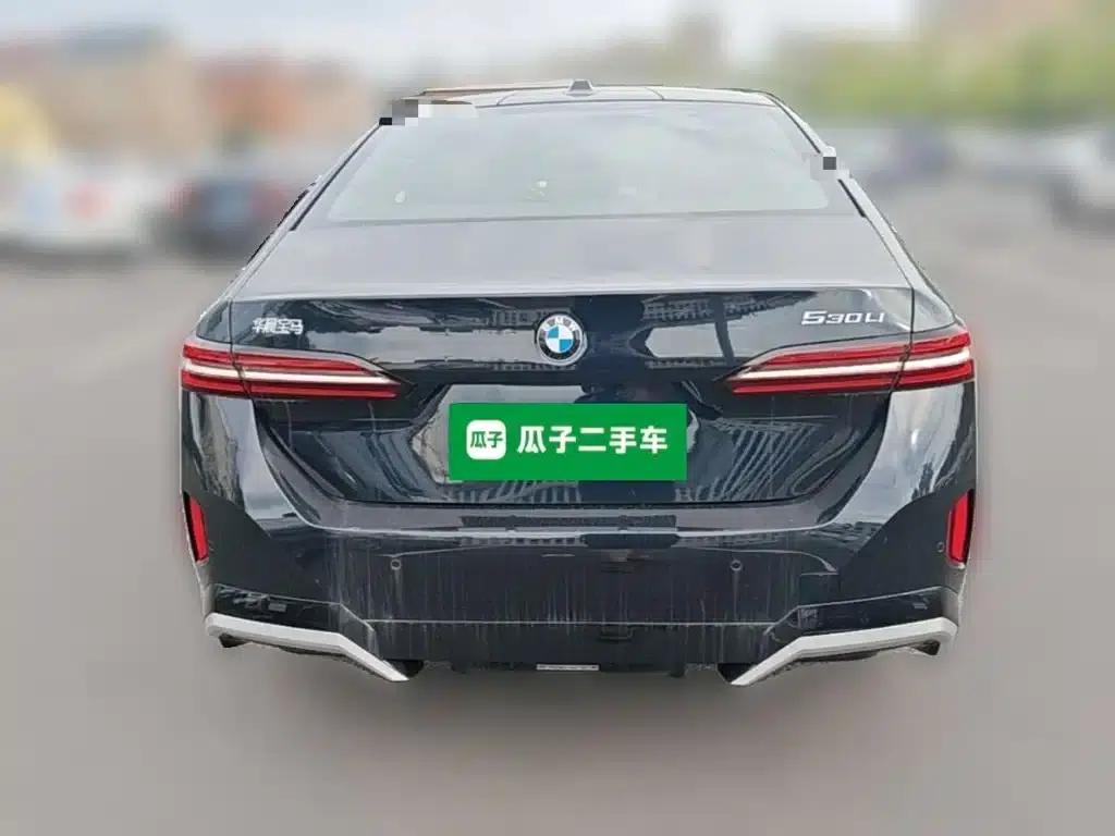 2025 BMW 5 Series 530Li Luxury M Sport Package — миниатюра 10