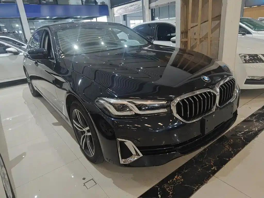 BMW 5 Series 2021 Facelift 530Li Leading Luxury Package — миниатюра 5