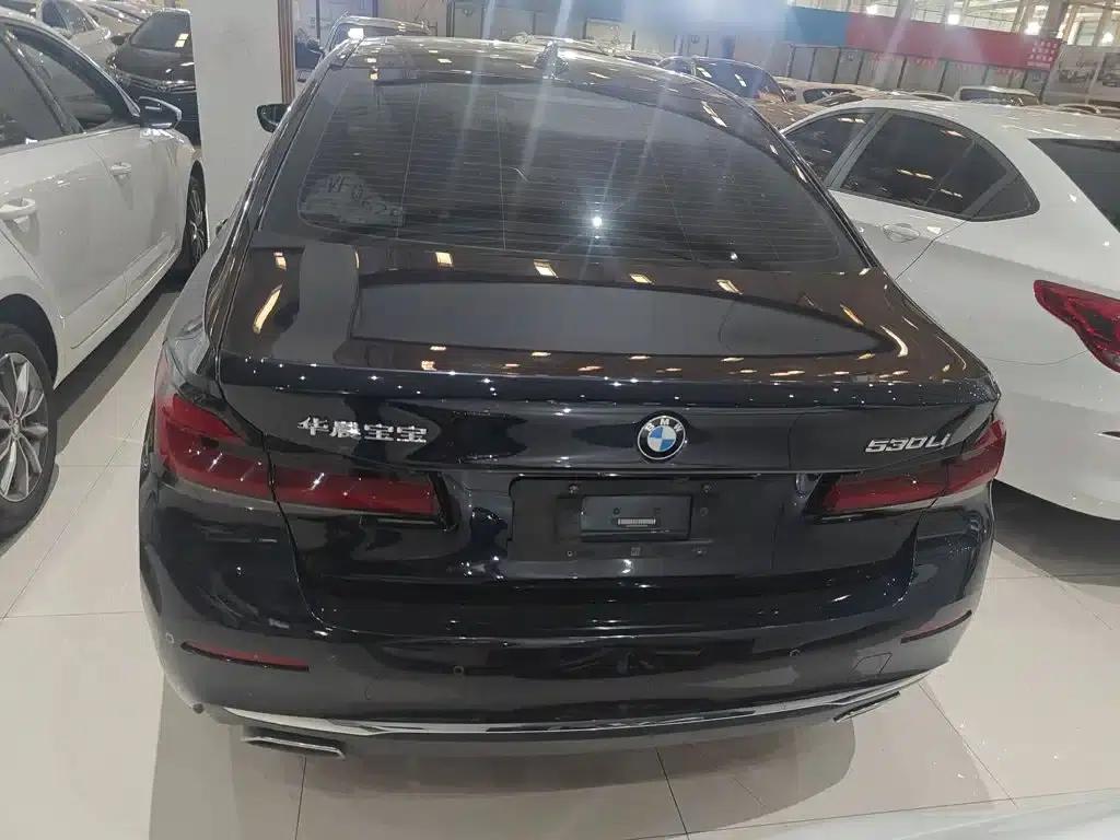 BMW 5 Series 2021 Facelift 530Li Leading Luxury Package — миниатюра 7