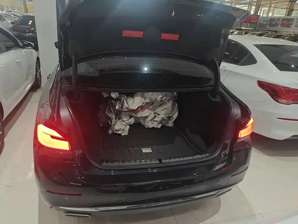 BMW 5 Series 2021 Facelift 530Li Leading Luxury Package — миниатюра 9