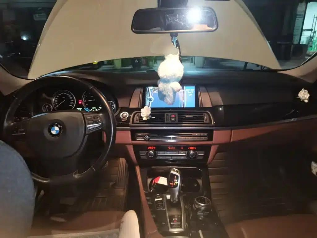 2014 BMW 5 Series 520Li Elegant Edition — миниатюра 13