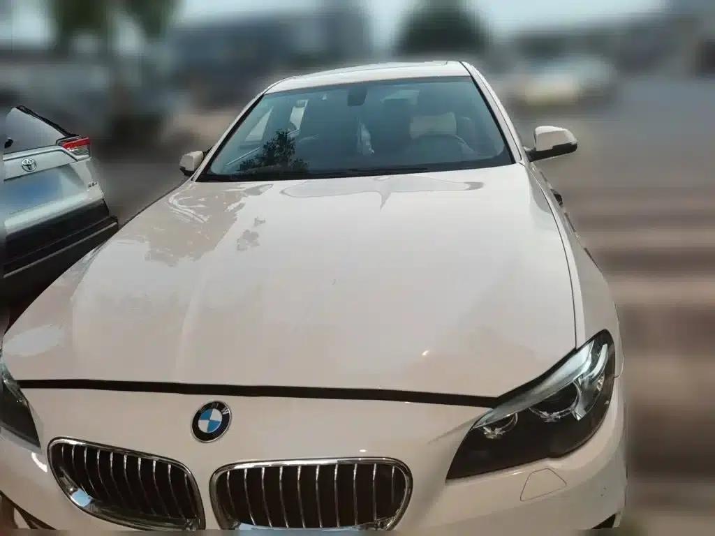 2014 BMW 5 Series 520Li Elegant Edition — миниатюра 24