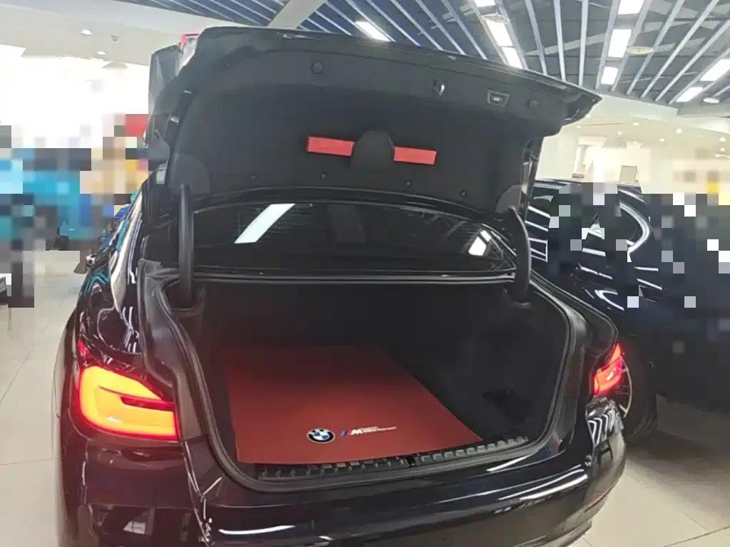 2021 BMW 5 Series 530Li Leading Edition M Sport Package — миниатюра 19