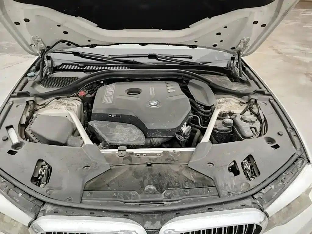2019 BMW 5 Series Facelift 525Li Luxury Package — миниатюра 20