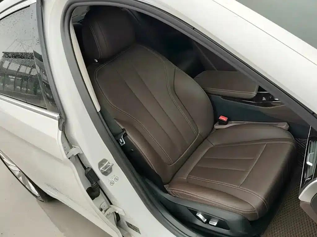 2019 BMW 5 Series Facelift 525Li Luxury Package — миниатюра 25