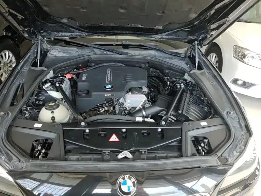 2014 BMW 5 Series 520Li Elegant Edition — миниатюра 20