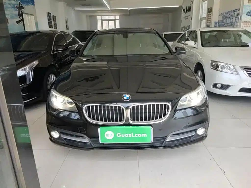 2014 BMW 5 Series 520Li Elegant Edition — миниатюра 3