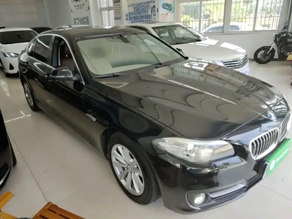 2014 BMW 5 Series 520Li Elegant Edition — миниатюра 4