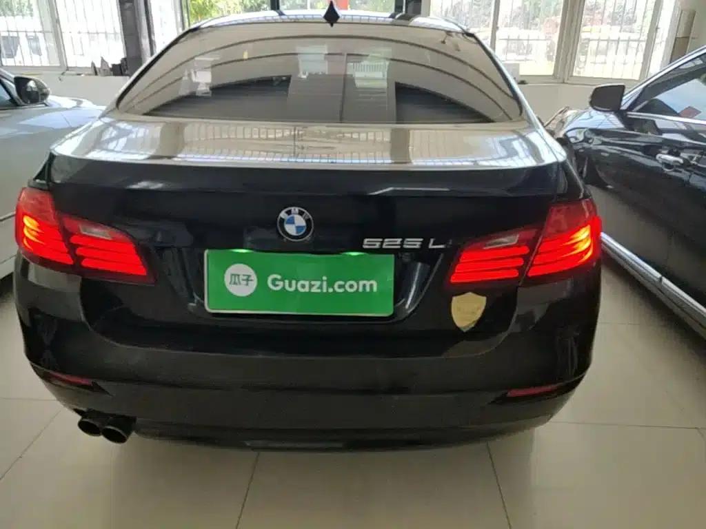2014 BMW 5 Series 520Li Elegant Edition — миниатюра 6