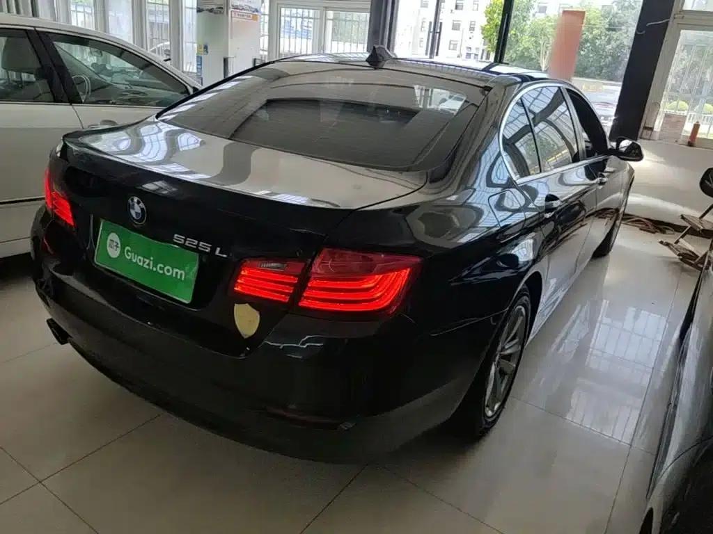 2014 BMW 5 Series 520Li Elegant Edition — миниатюра 7