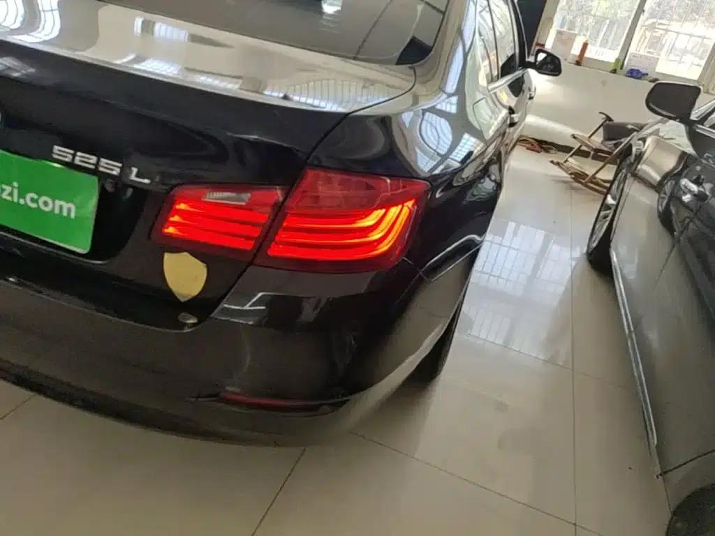 2014 BMW 5 Series 520Li Elegant Edition — миниатюра 8
