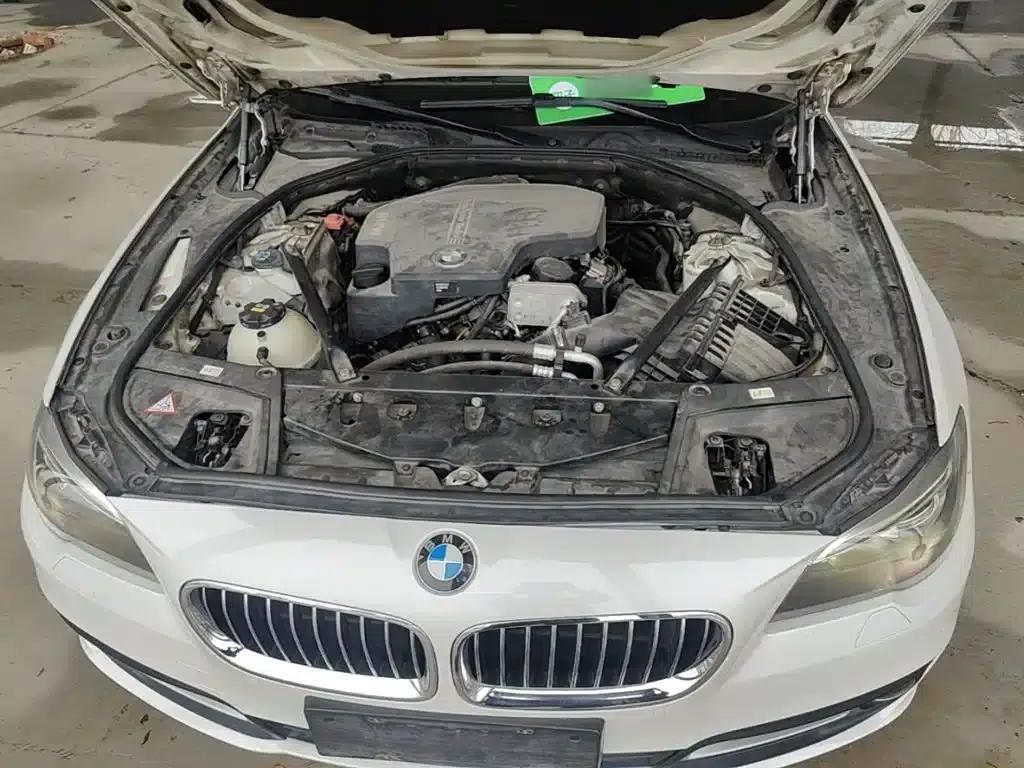 2014 BMW 5 Series 525Li Leading Edition — миниатюра 20