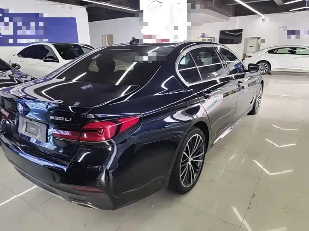 2022 BMW 5 Series Facelift 530Li Leading Edition M Sport Package — миниатюра 7